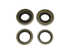 Keerring Sachs 50S en 501 NTS set 