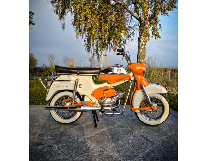 ★ PUCH DS50V/II ★